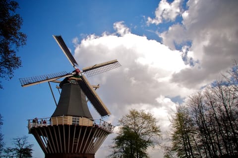 Amsterdam – foto 24