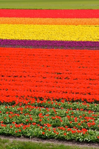 Amsterdam – foto 28