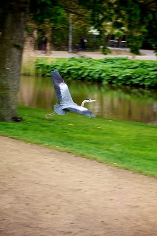 Amsterdam – foto 47