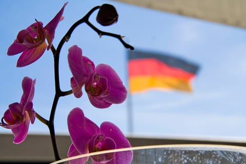 Berlino · Best – foto 14