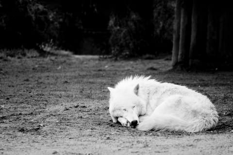 Berlino · Best – foto 48