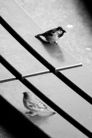 Berlino · Best – foto 49
