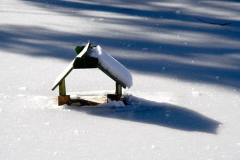 Forni – foto 2