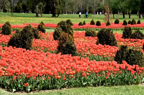 Lubiana · Arboretum – foto 7
