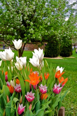 Lubiana · Arboretum – foto 10