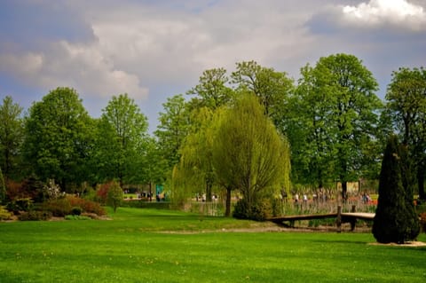 Lubiana · Arboretum – foto 12