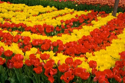 Lubiana · Arboretum – foto 15