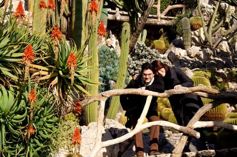 Monte-Carlo – foto 17