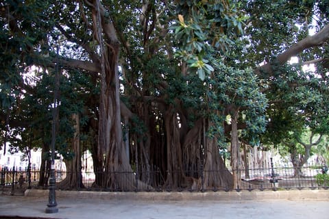 Sicilia – foto 51