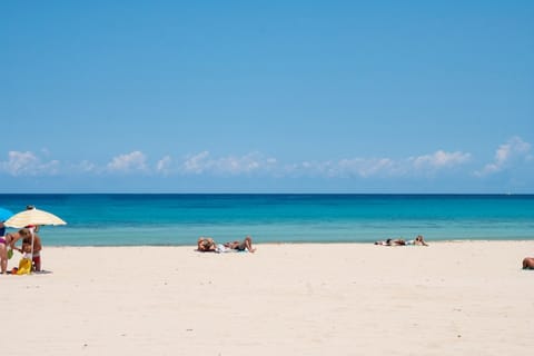 Sicilia – foto 80