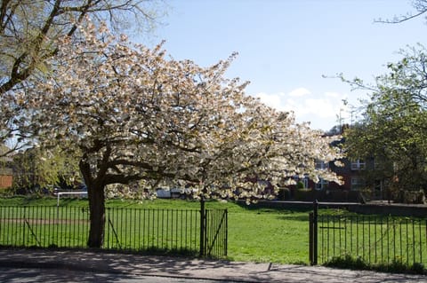 Galles · Londra – foto 4