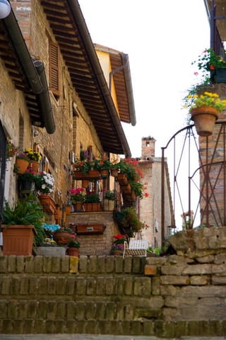 Urbino – foto 23