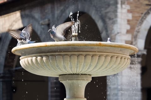 Urbino – foto 30
