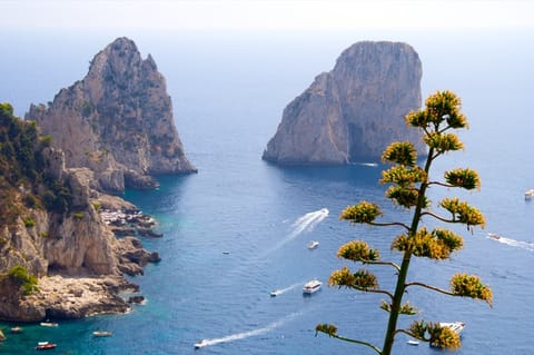 Caserta · Capri – foto 13