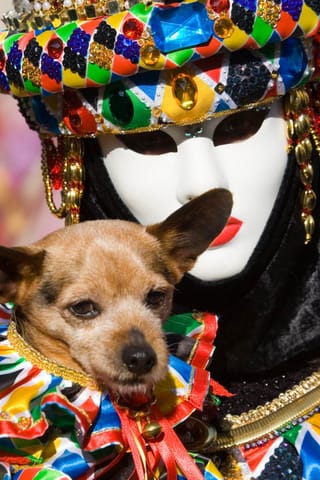 Carnevale – foto 9