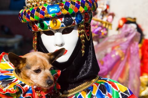 Carnevale – foto 10
