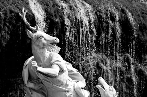 Caserta · Capri – foto 5