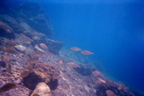 Croazia – foto 3