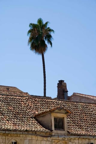 Croazia – foto 6