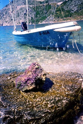 Croazia – foto 9