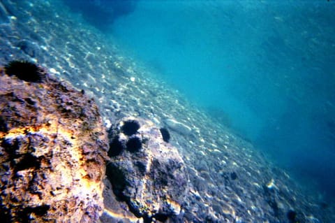 Croazia – foto 10