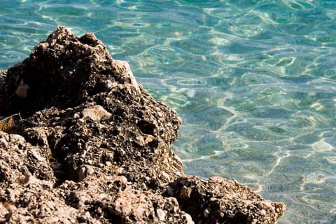 Croazia – foto 14