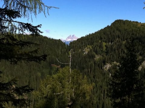 Varmost · Lavazeit – foto 2