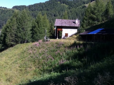 Varmost · Lavazeit – foto 3