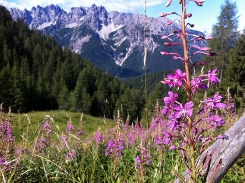 Varmost · Lavazeit – foto 4