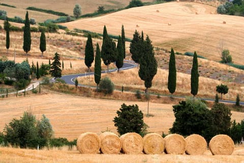 Italia – foto 2