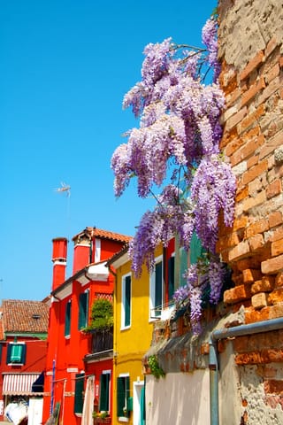 Burano – foto 8