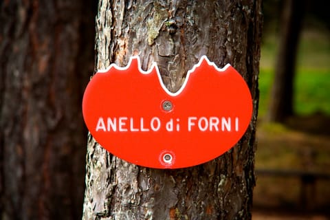 Forni · Cortina · Miramare – foto 5