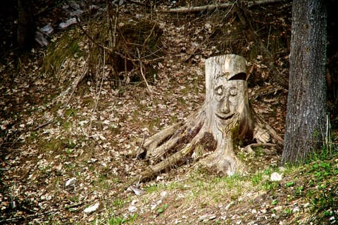 Forni · Cortina · Miramare – foto 6