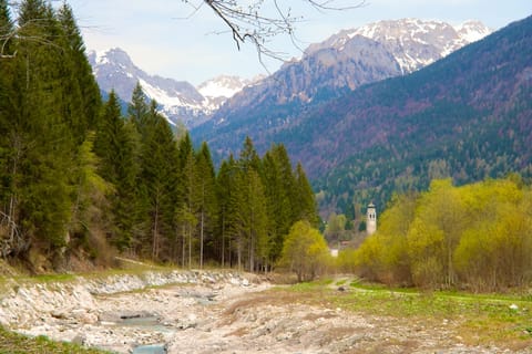 Forni · Cortina · Miramare – foto 7