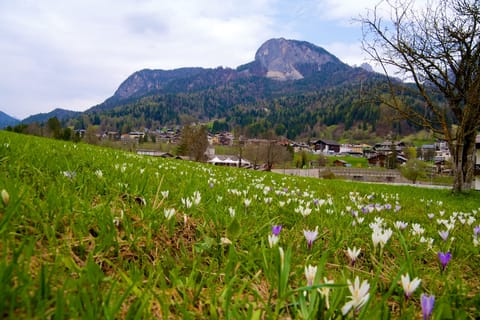 Forni · Cortina · Miramare – foto 10