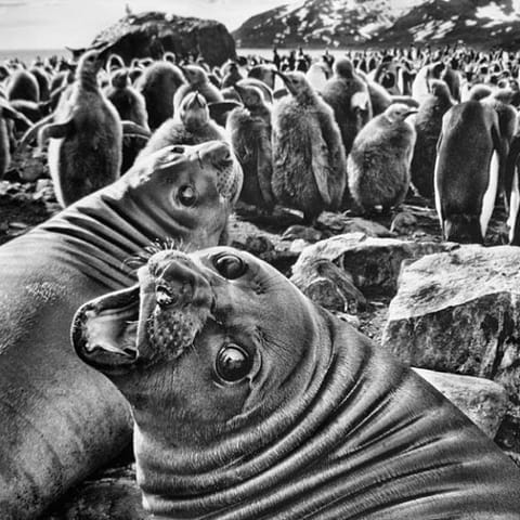 Salgado · Penn · Venezia – foto 2