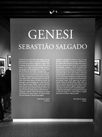 Salgado · Penn · Venezia – foto 1