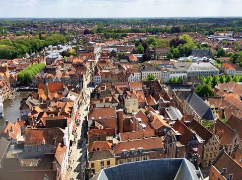 Bruxelles · Bruges – foto 21