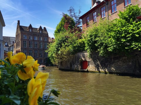 Bruxelles · Bruges – foto 23