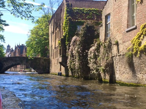 Bruxelles · Bruges – foto 24