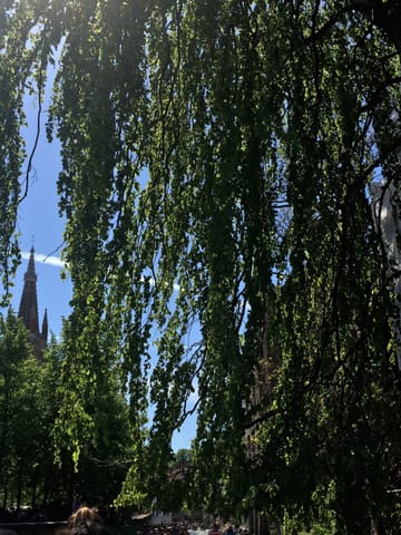 Bruxelles · Bruges – foto 25
