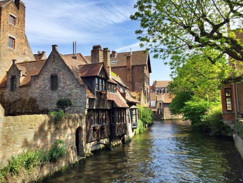 Bruxelles · Bruges – foto 27