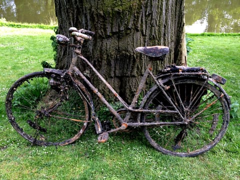 Bruxelles · Bruges – foto 33