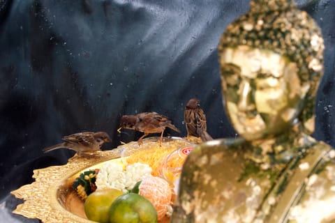 Thailandia – foto 40