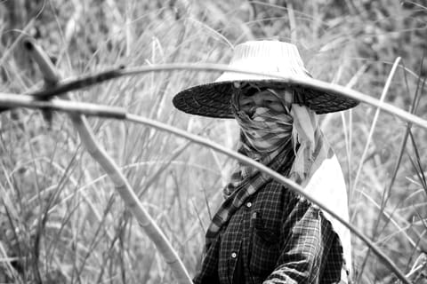 Thailandia – foto 129