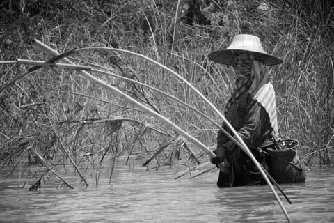 Thailandia – foto 130