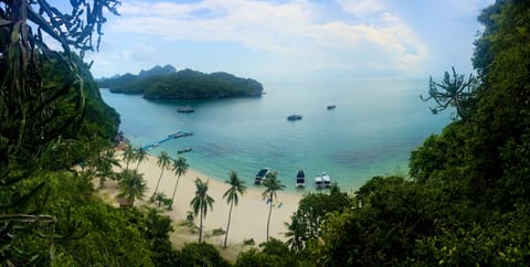 Thailandia – foto 195