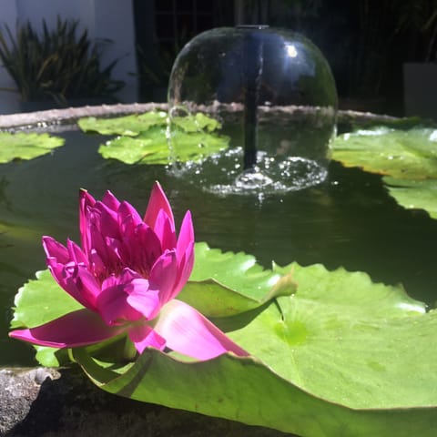 Thailandia – foto 212