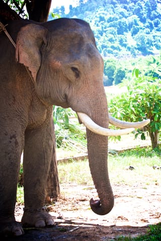Thailandia – foto 132