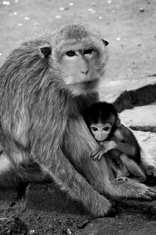 Thailandia – foto 171